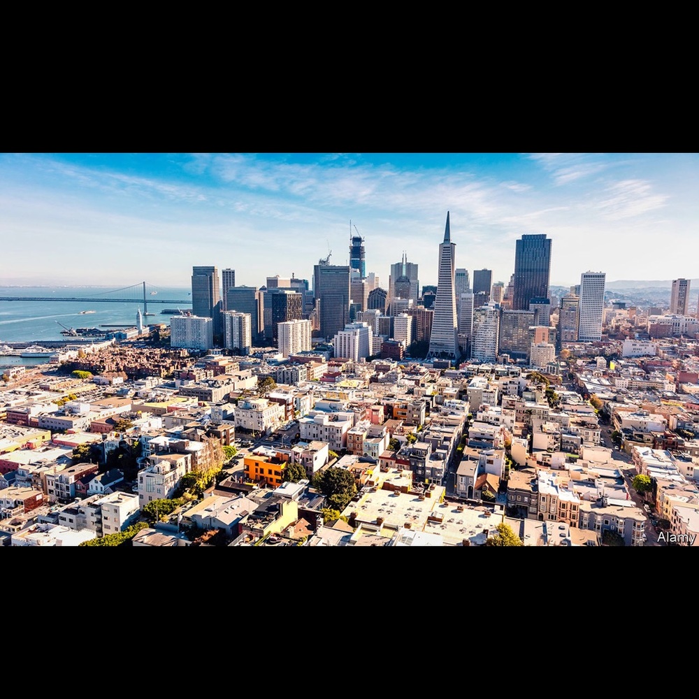 Meet your Posher, Lily